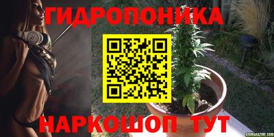 дживик Гудермес