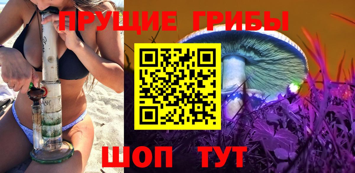 Вязники  цены   Псилоцибиновые грибы ЛСД  Вход с VPN  Псилоцибиновые грибы прущие грибы 