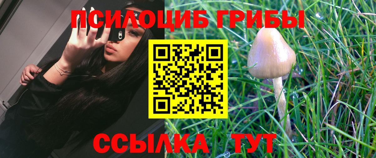 Галлюциногенные грибы мицелий Вязники